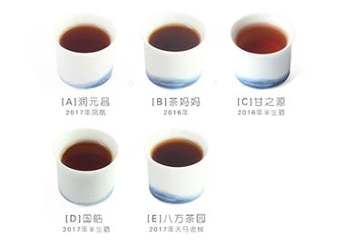 小青柑哪個品牌好？小青柑茶湯口感風(fēng)格對比