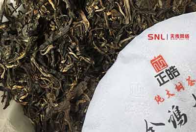 真正大樹