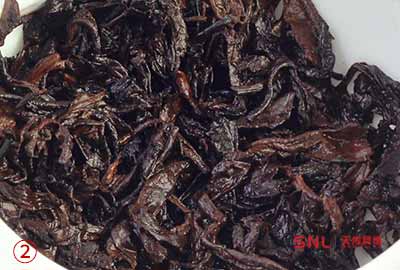生茶變熟茶