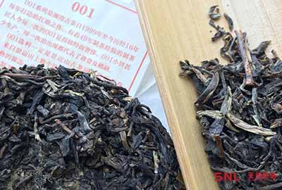 真正景邁古樹普洱茶是怎樣的？顛覆你對(duì)古樹茶的認(rèn)知！