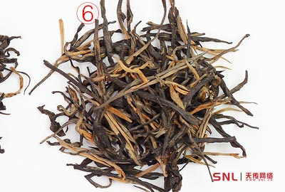 真正英紅9號