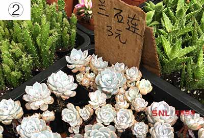 現(xiàn)實怎么經(jīng)營網(wǎng)店？24小時客服全年無休...