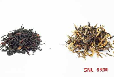 滇紅金絲和金芽哪個(gè)好？滇紅茶好壞是這樣區(qū)分的...