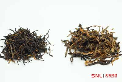 正山小種和滇紅的區(qū)別不是一般的大！