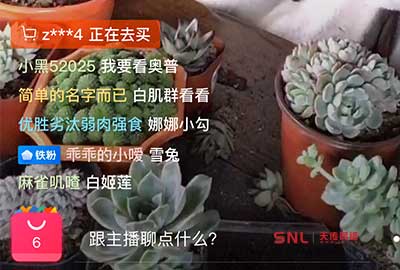 流量 怎么辦