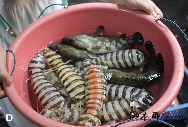 仙本那海鮮