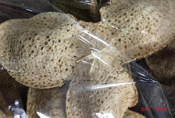 正宗新會(huì)陳皮多少錢一斤？