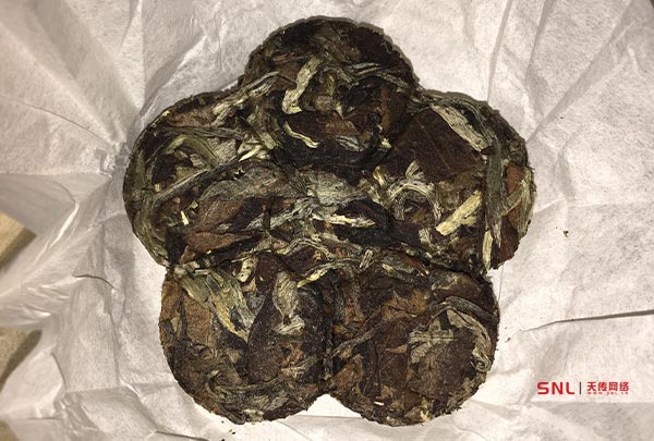 喝過最好喝的白茶竟然是雨林古茶坊古樹銀花云南白茶