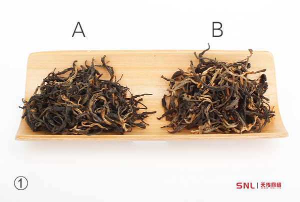 滇紅與英紅區(qū)別|大樹滇紅和英紅九號(hào)