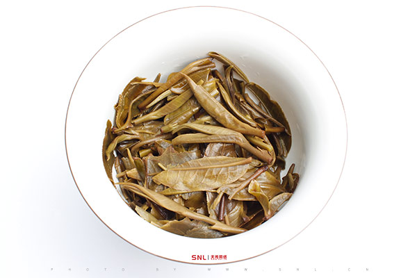 春茶