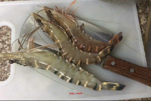 廣州美食攻略