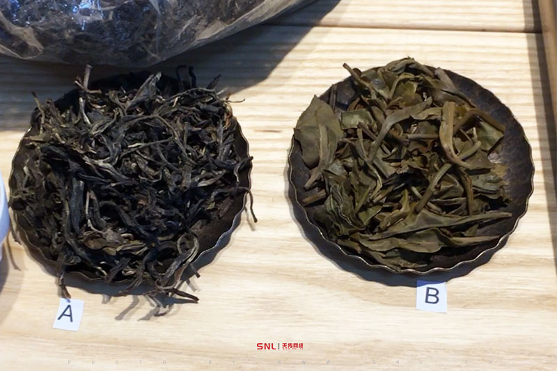 雨林古茶坊