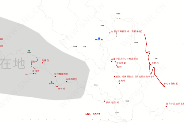 南糯山地圖