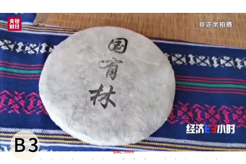 易武 國有林