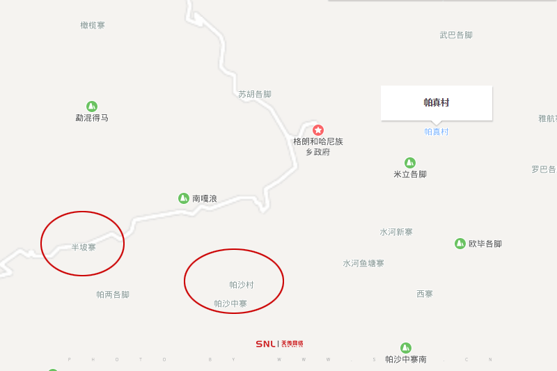 古樹曬紅