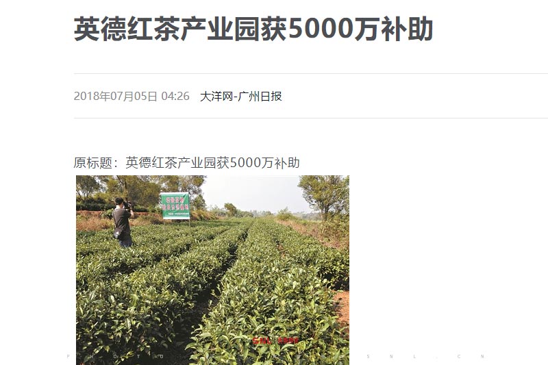 英紅九號(hào)價(jià)格為何正規(guī)茶廠(chǎng)反而便宜？