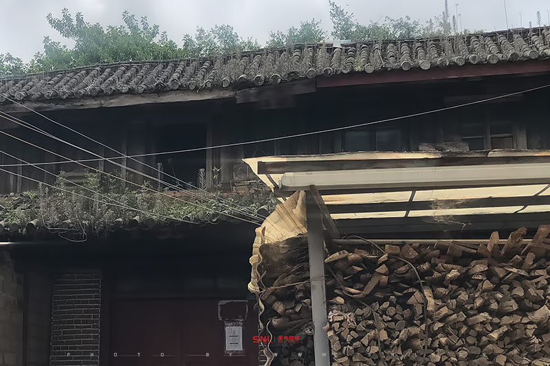 冰島茶多少錢一斤