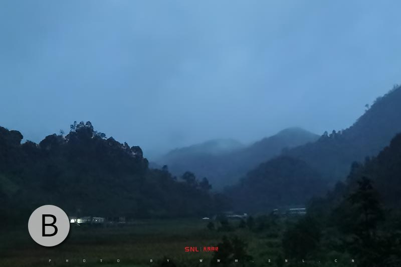 刮風(fēng)寨古樹茶