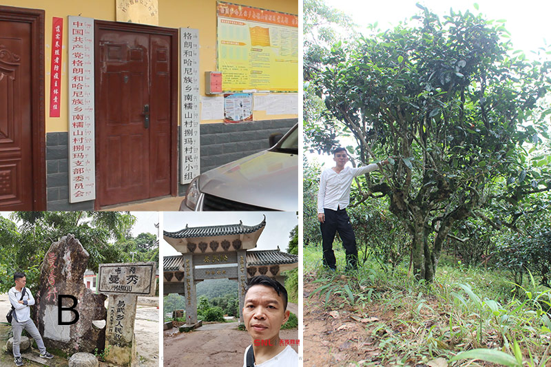 網(wǎng)購普洱茶