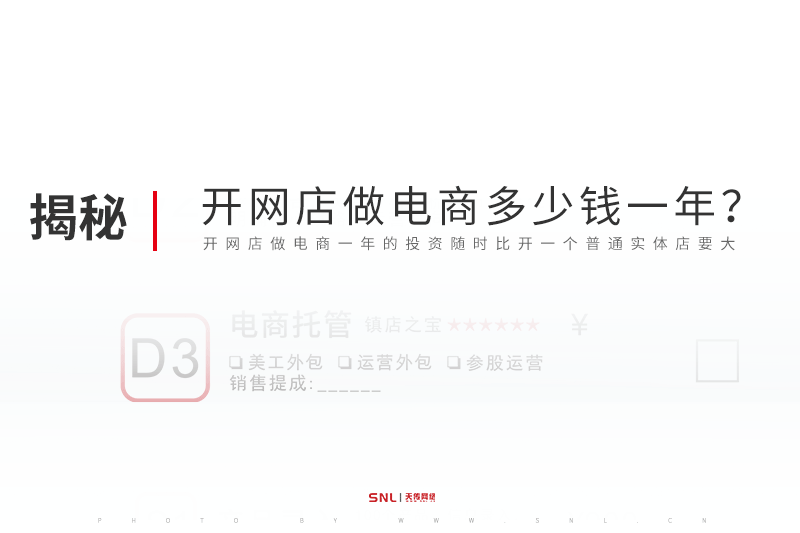 開(kāi)網(wǎng)店做電商