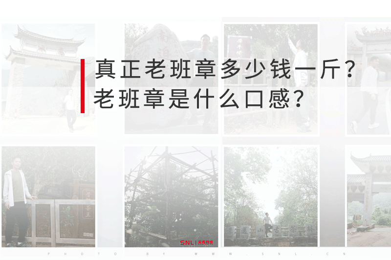 老班章多少錢(qián) 老班章口感