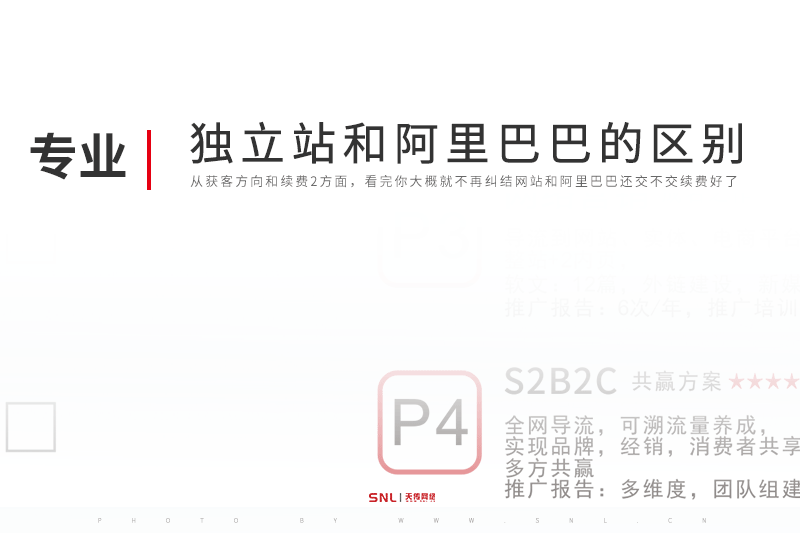 獨(dú)立站網(wǎng)站建設(shè)和阿里巴巴的區(qū)別【廣州網(wǎng)站建設(shè)公司】
