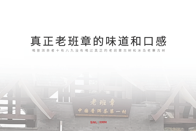 真正老班章的味道和口感，廣州網(wǎng)絡(luò)推廣公司說茶