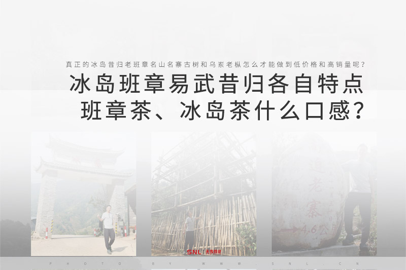 網(wǎng)上買(mǎi)普洱茶 網(wǎng)上買(mǎi)單叢