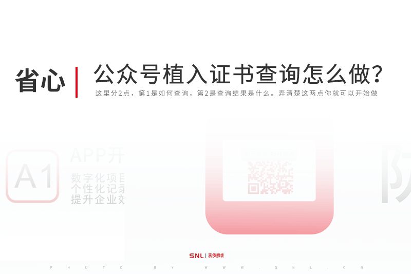 公眾號(hào)植入證書(shū)查詢(xún)?cè)趺醋?？廣州系統(tǒng)開(kāi)發(fā)公司