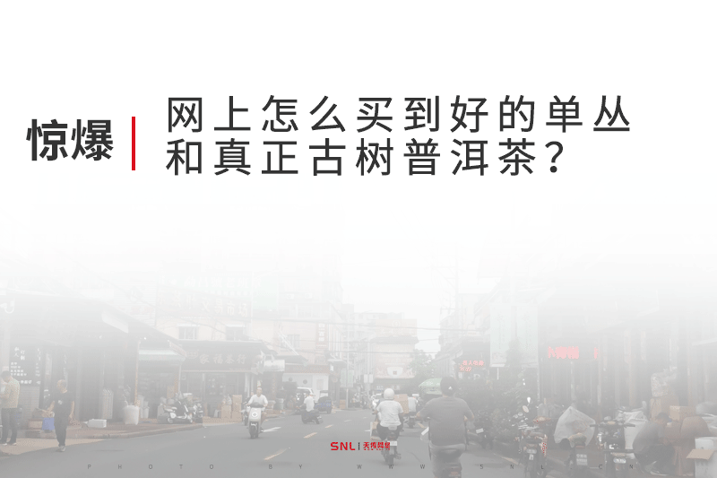 網(wǎng)上怎么買到好的單叢茶和普洱古樹茶？電商運營公司告訴你真相！