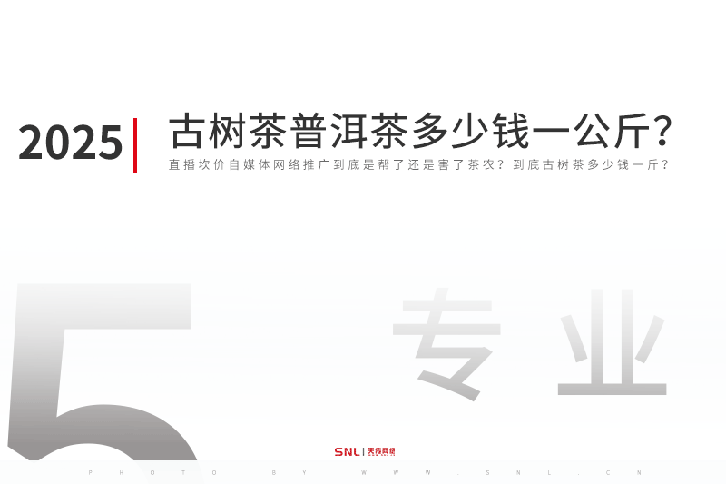 2025年云南古樹茶普洱茶多少錢一公斤？直播坎價(jià)自媒體網(wǎng)絡(luò)推廣到底是幫了茶農(nóng)還是害了茶農(nóng)？