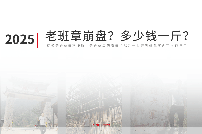 老班章崩盤2025年老班章多少錢一斤？