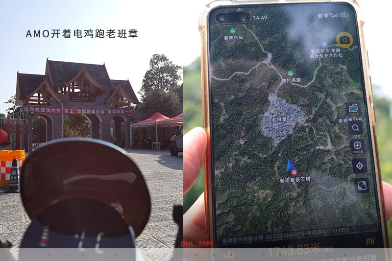 老班章茶 老班章