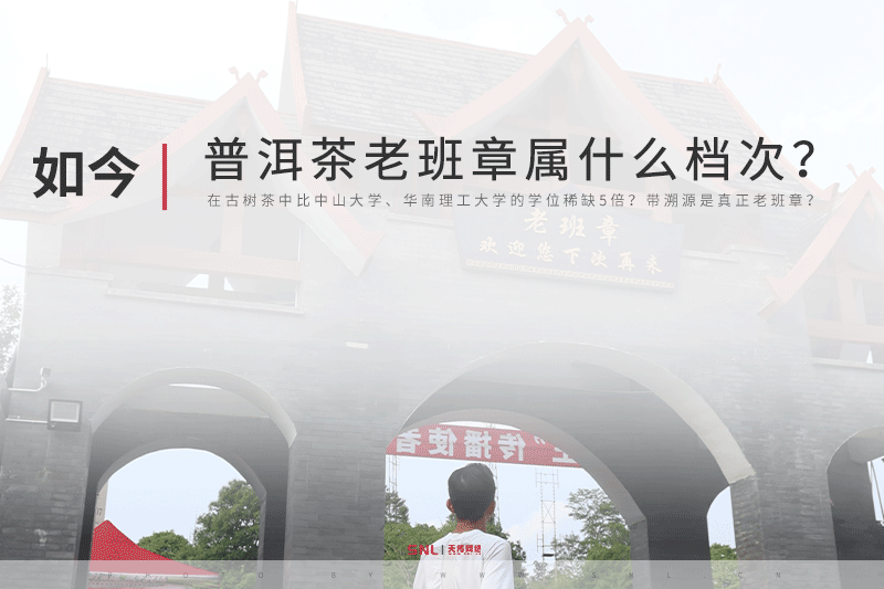 老班章什么檔次