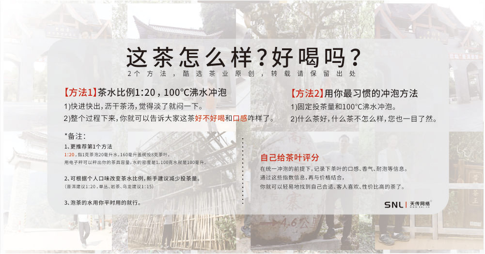 如何辨別茶葉好壞
