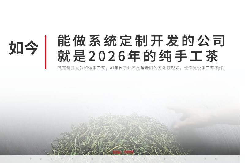 能做定制開發的網站建設公司就是2026年的純手工茶