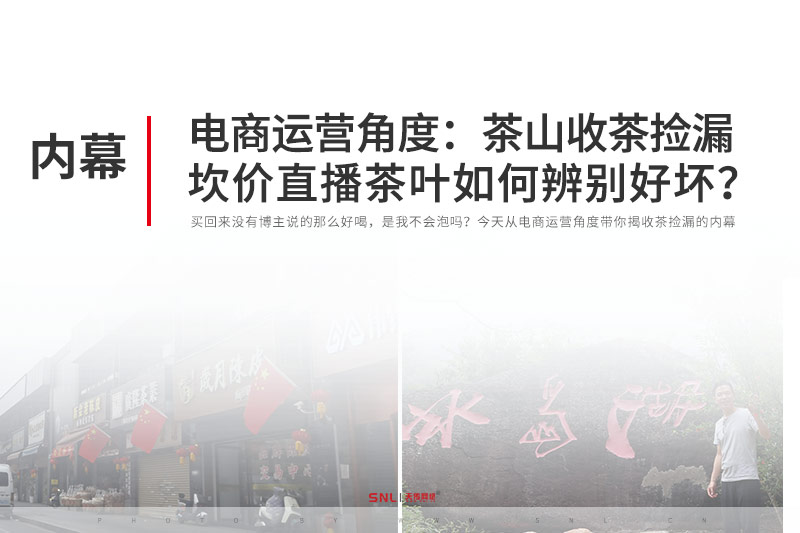 電商運營角度：茶山收茶撿漏坎價直播網購茶葉如何辨別好壞？